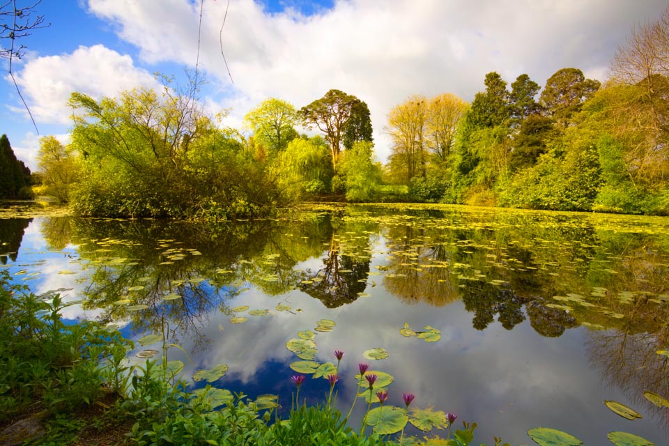 Altamont Gardens Altamont Gardens