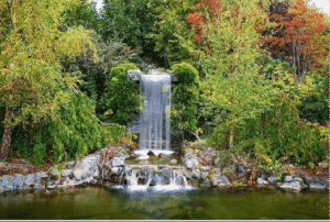 Delta Sensory Gardens - Carlow - Waterfall