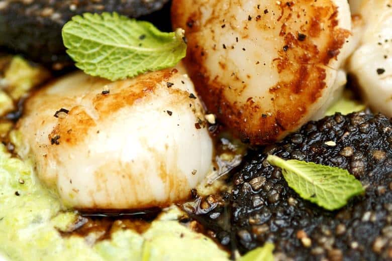 Scallops & Black Pudding