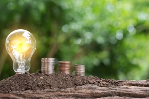 Lightbulb and coins on soil