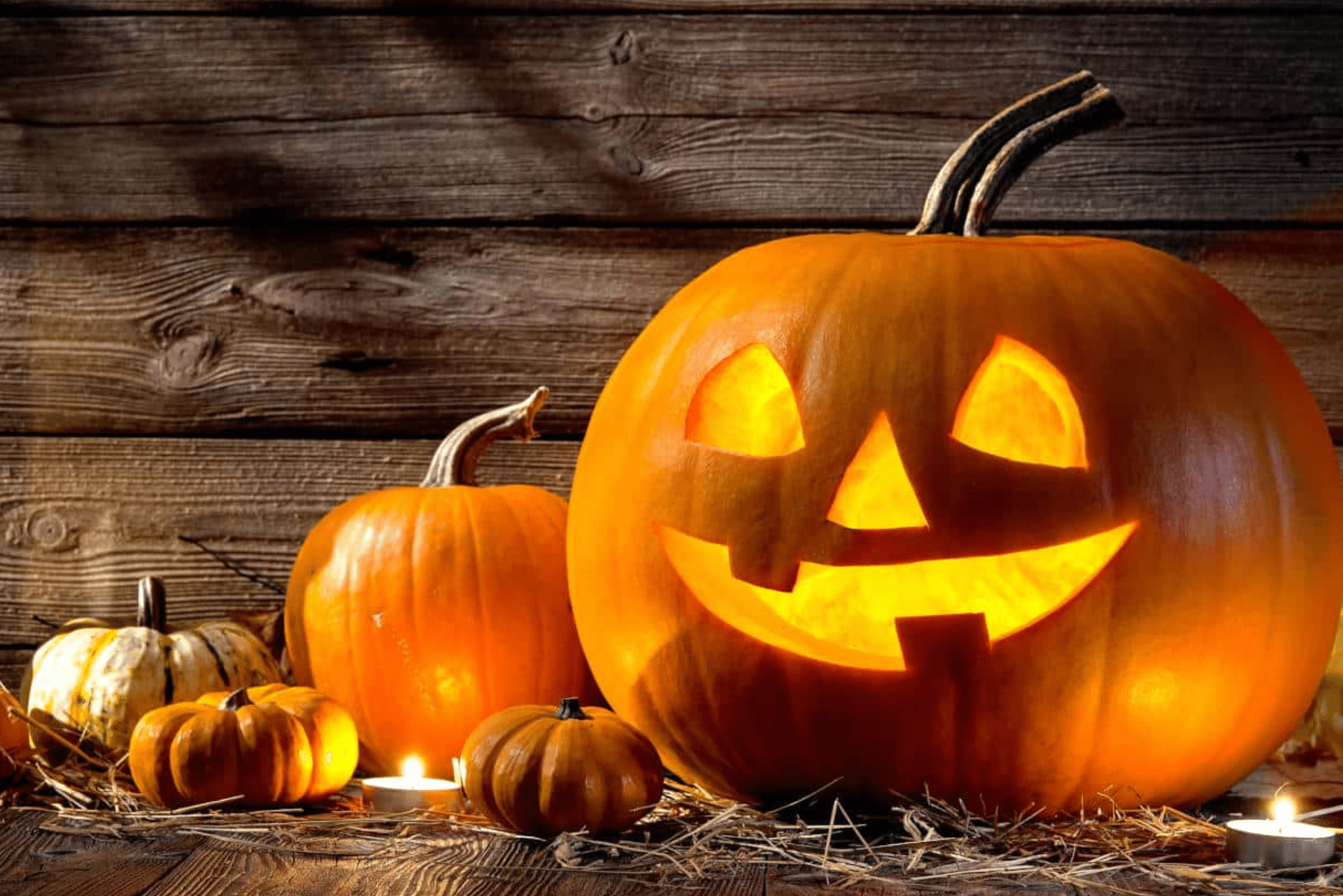 Two Halloween Carvered Pumpkins