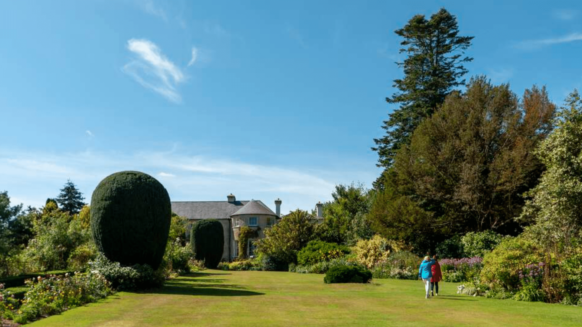 A big garden with green grass and green trees