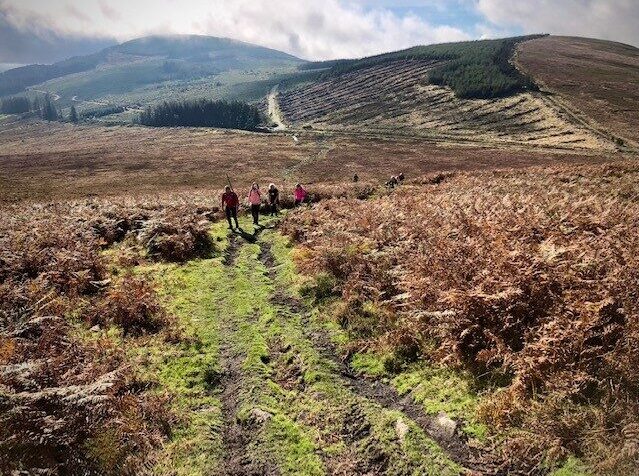 County Carlow Green Field for Trails