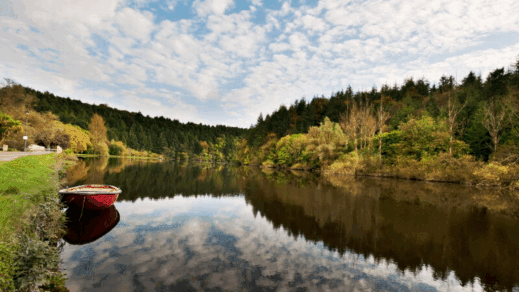 Barrow River in Carlow with trees