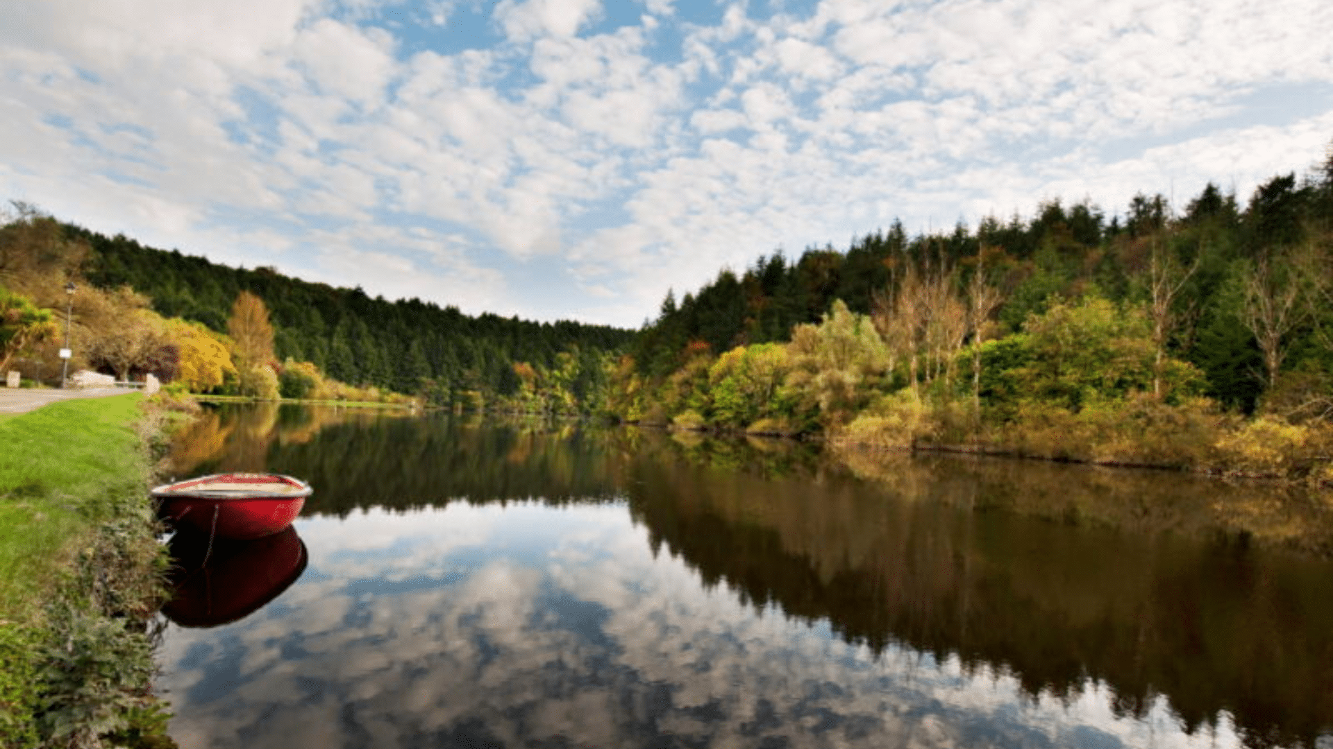 Barrow River in Carlow with trees