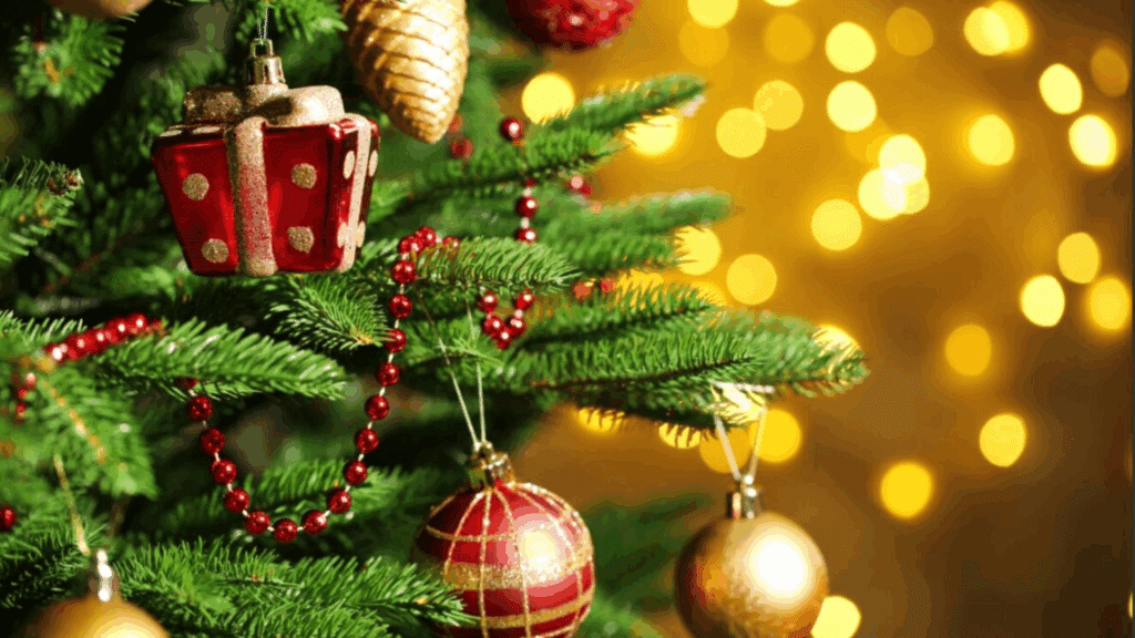 Christmas in Carlow by Carlow Tourism