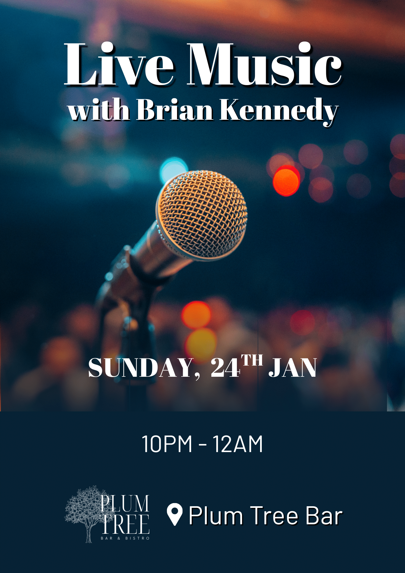 Enjoy Live Music in the Bar by Brian Kennedy on January 24th at the Plum Tree Bistro, Woodford Dolmen Hotel