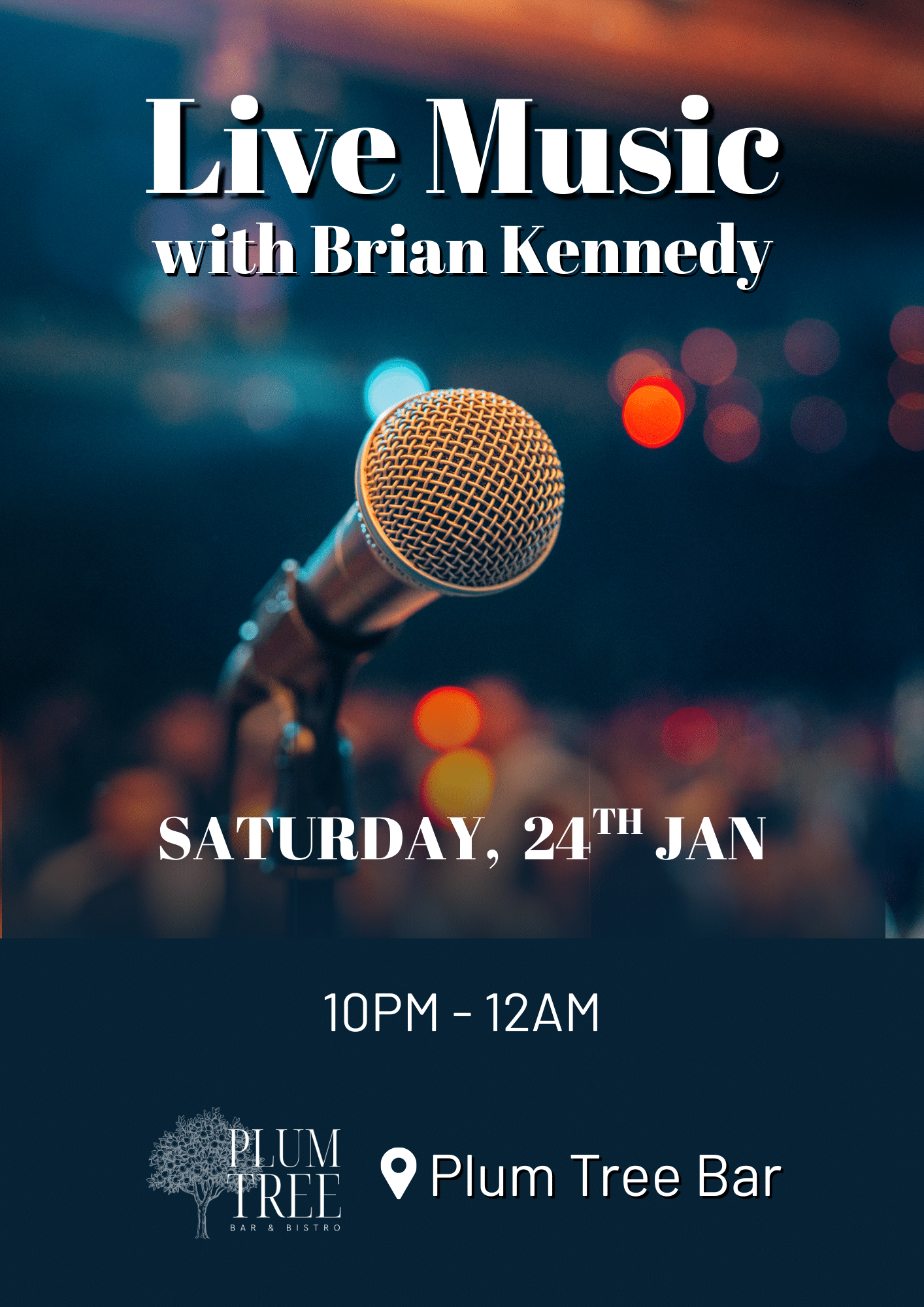 Enjoy Live Music in the Bar by Brian Kennedy on January 24th at the Plum Tree Bistro, Woodford Dolmen Hotel