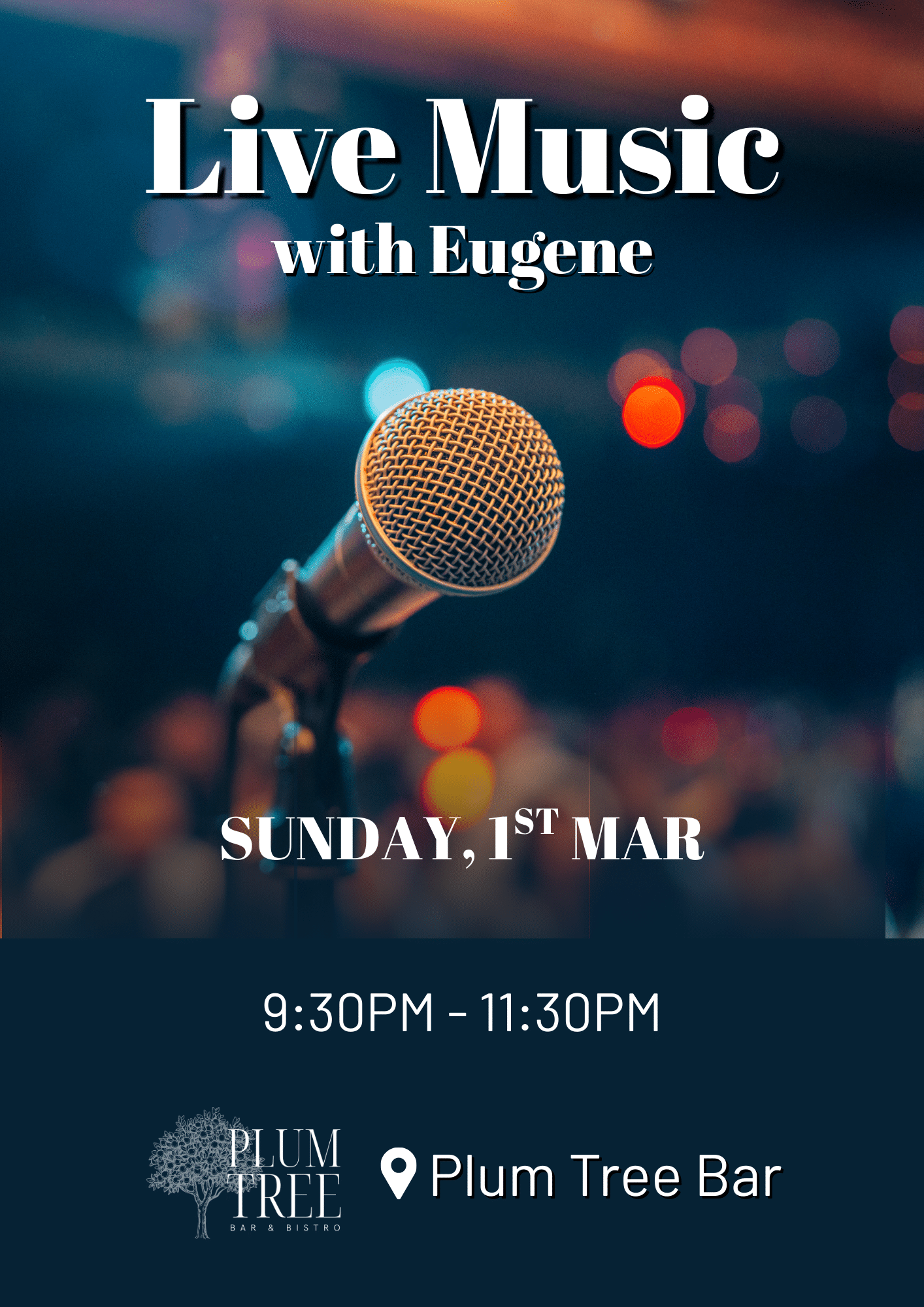 Live Music in the Bar Eugene