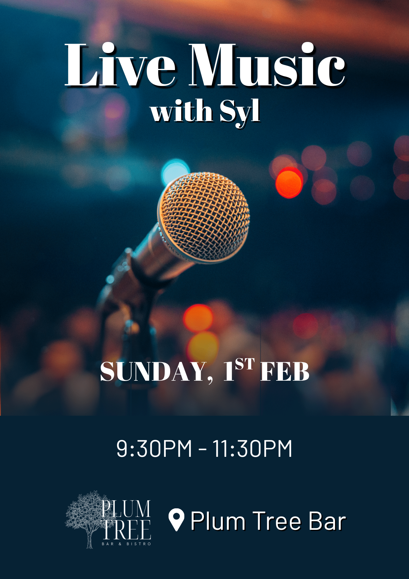 Live Music in the Bar Syl