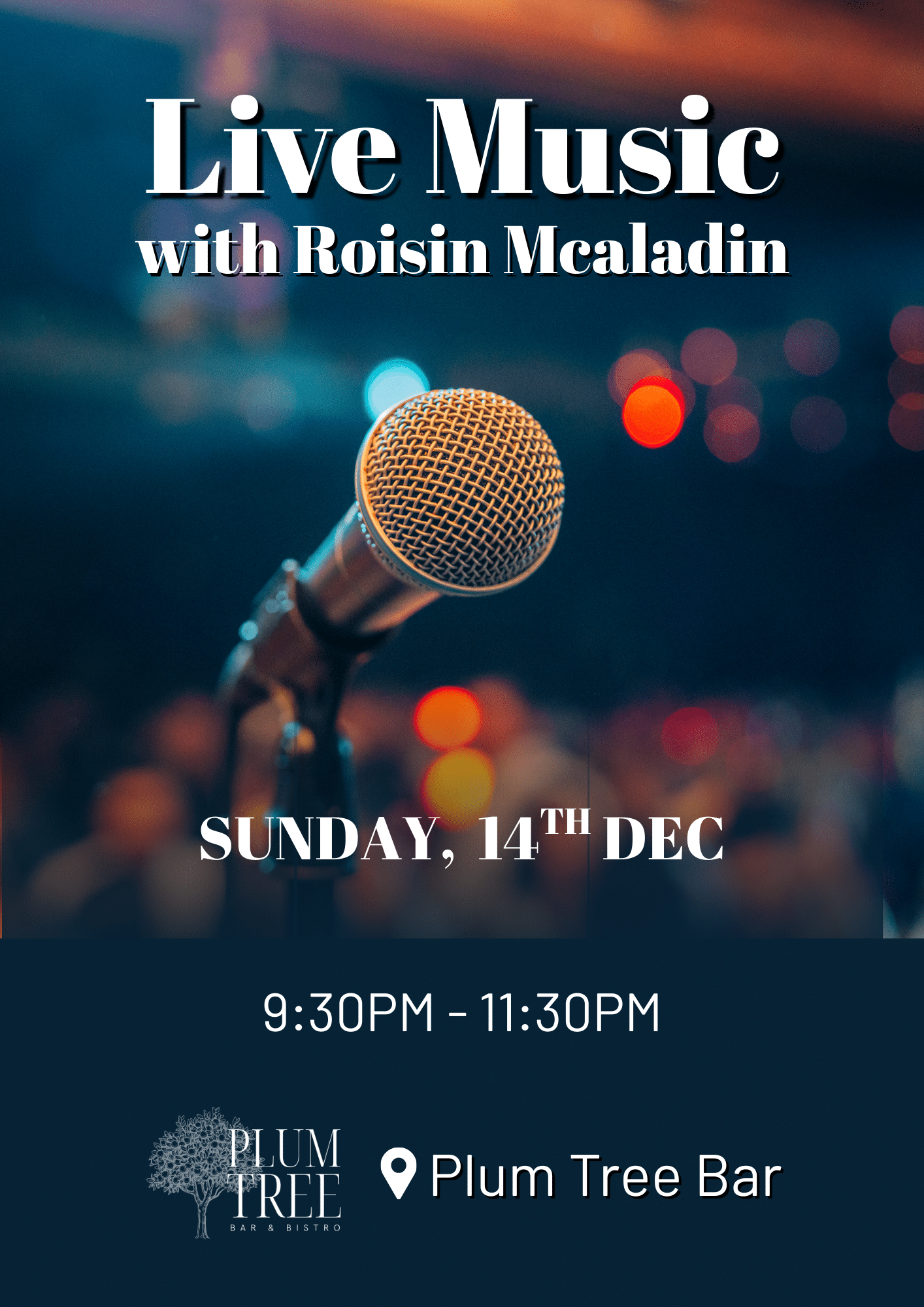 Live Music in the Bar with Roisin Mcaladin