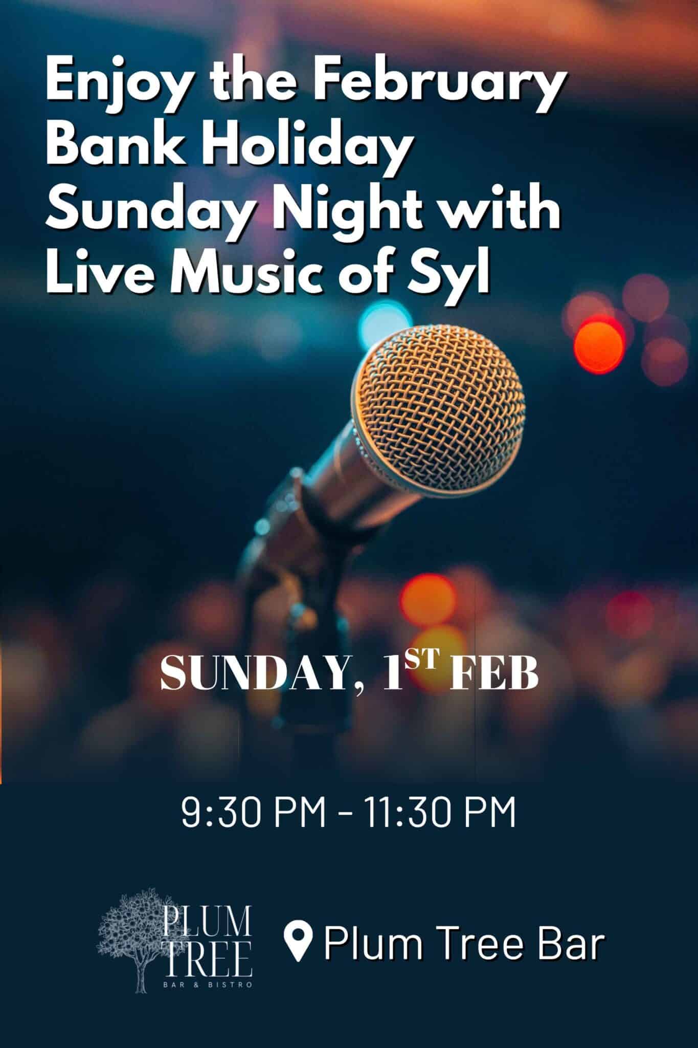 Enjoy Live Music in the Bar by Syl on February 1st, Bank Holiday Sunday Night from 9:30 pm at the Plum Tree Bistro, Woodford Dolmen Hotel in Carlow