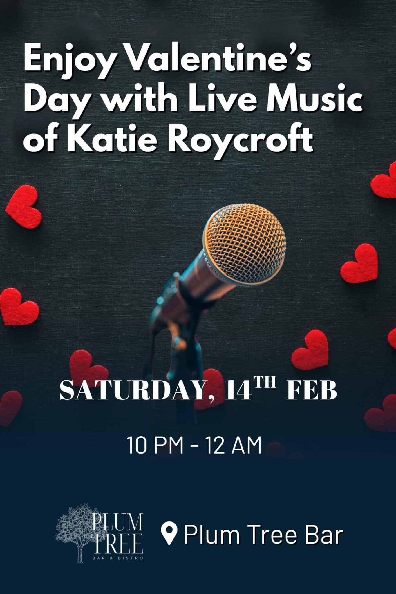 Enjoy Valentine's Day with Live Music of Katie Roycroft in the Woodford Dolmen Hotel in Carlow from 10 pm