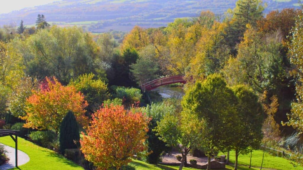 Woodford Dolmen Hotel's gardens, island, and red bridge with green and red trees