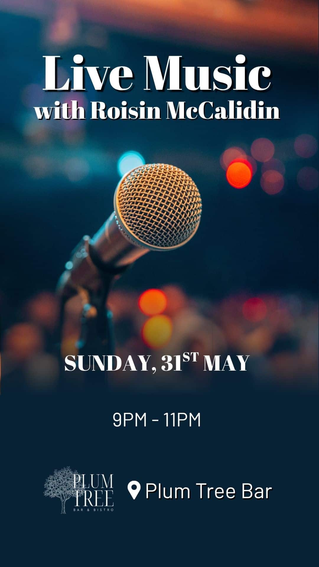 Join us for Live Music in the Plum Tree Bar with Roisin McCalidin on Sunday, 31st May from 9pm.