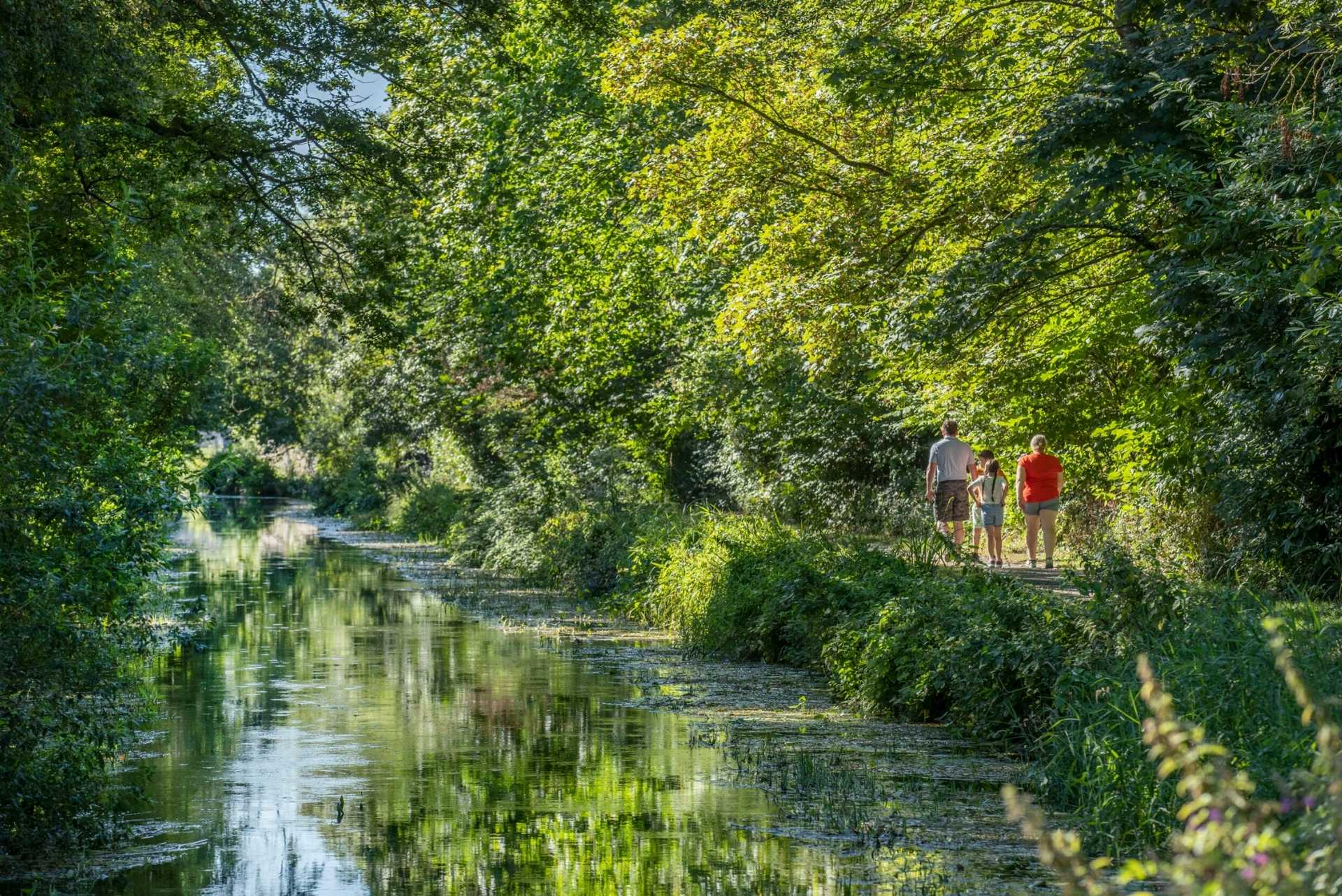 Family walking the Barrow River in Carlow